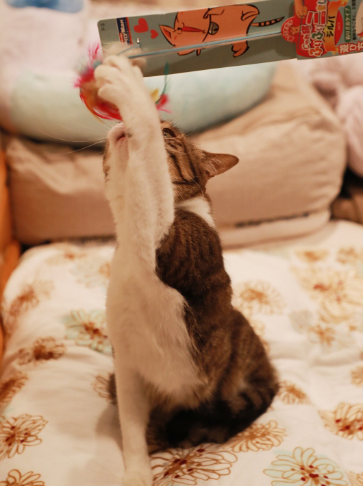 ¤¯¤¤¤Ã¡£ ¤¯¤¤¤Ã¡£