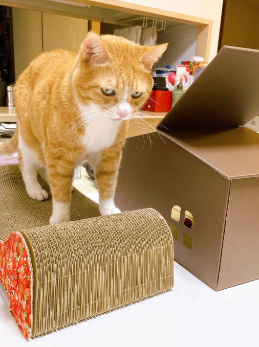 �����ä���