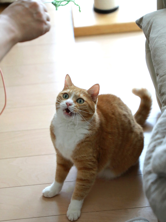 どこー? どこー?