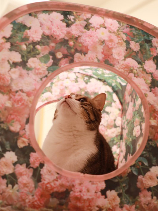 ¤¦¤Ì¤Ì¡£ ¤¦¤Ì¤Ì¡£