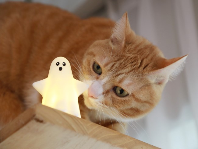 ¤¹¤ó¤¹¤ó¡£ ¤¹¤ó¤¹¤ó¡£