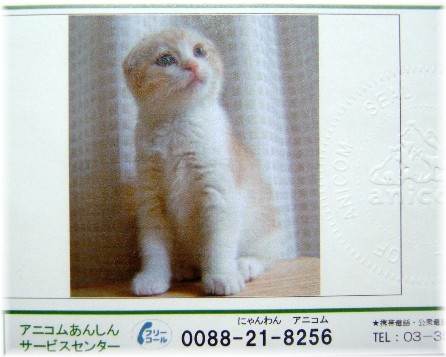 ���˥��५��������