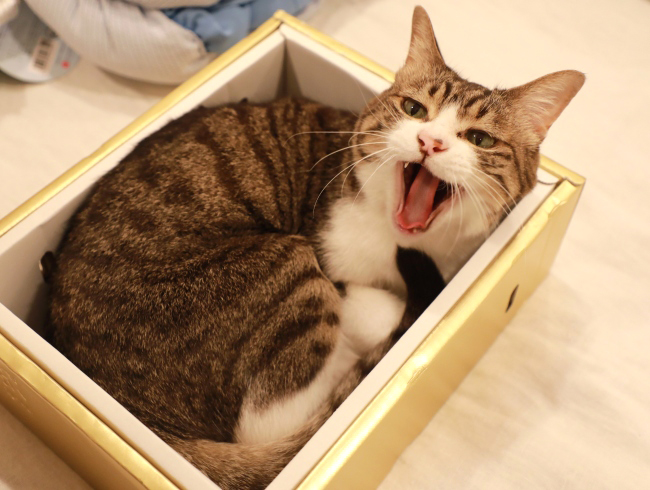 �ǹ�ǡ�����