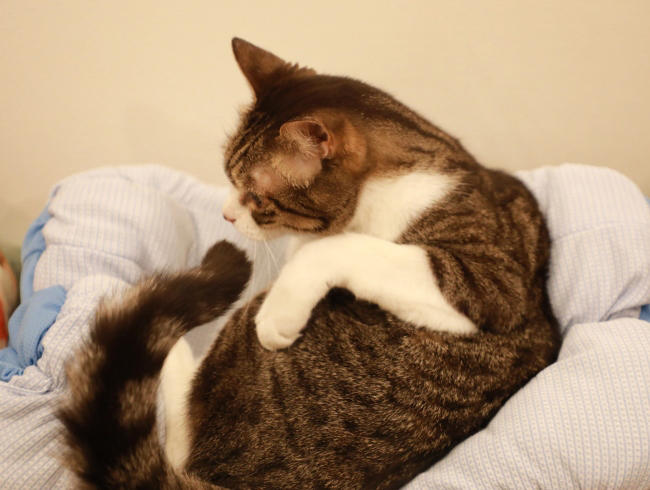 ¼ýǼ¡£ ¼ýǼ¡£