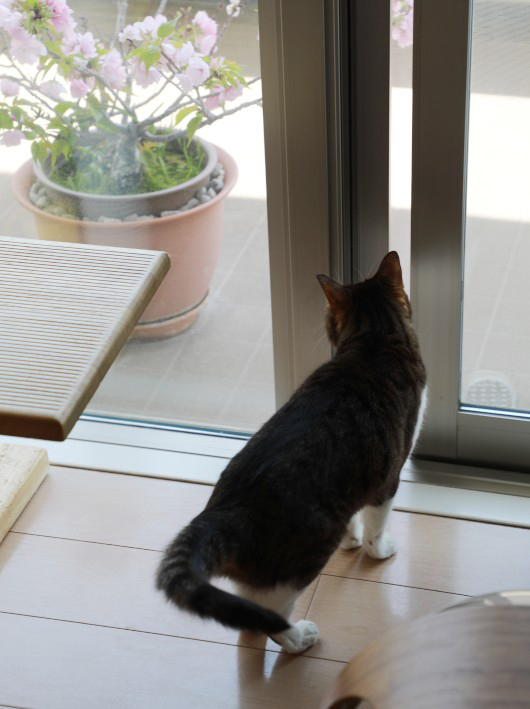 ���Τ����ˡ�