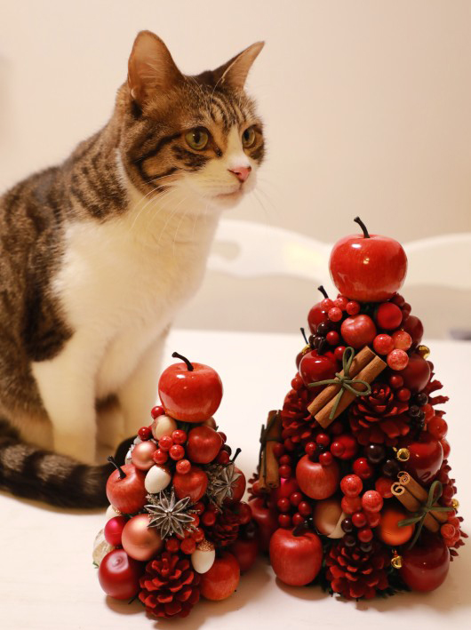 �������ʤä���