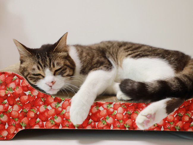 �Ȥ�����