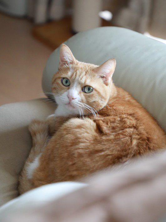 �̤���ꤤ��������