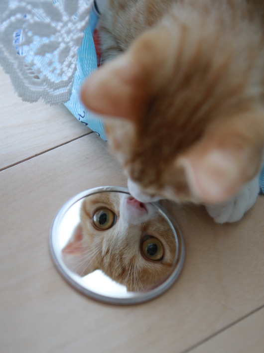 ¤¸¡¼¤Ã¡£ ¤¸¡¼¤Ã¡£