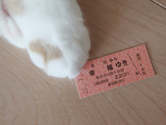 ���ȥ�Ϲ�ʡ�椭������������줿��(�ɥ饯����)