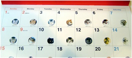 ���쥢����������