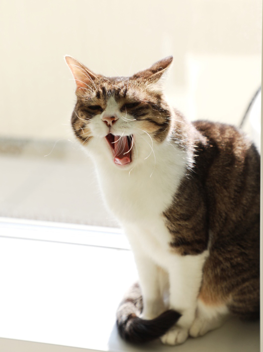 ¤Õ¤ï¤¡¡Á¡£ ¤Õ¤ï¤¡¡Á¡£