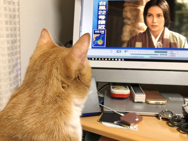 猫は時代劇がお好き ミミオレ Powered By ライブドアブログ 猫は時代劇がお好き ミミオレ Powered By ライブドアブログ