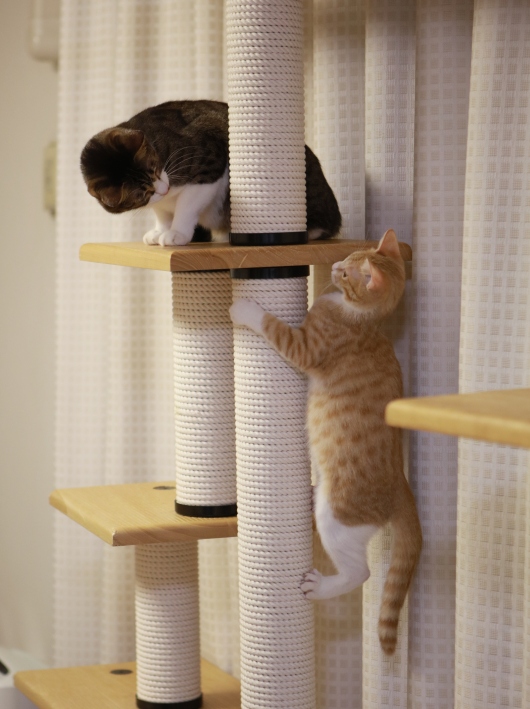 �����ä���