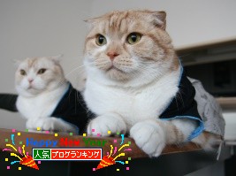 ¥¯¥ê¥Ã¥¯¤Ç¥ß¥ß¥ª¥ì¡£¤ËÅêɼ ¥¯¥ê¥Ã¥¯¤Ç¥ß¥ß¥ª¥ì¡£¤ËÅêɼ