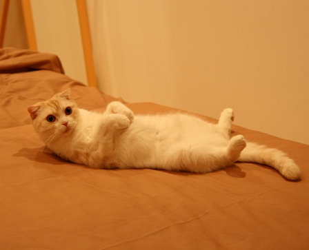 �����Ǵ����桦����