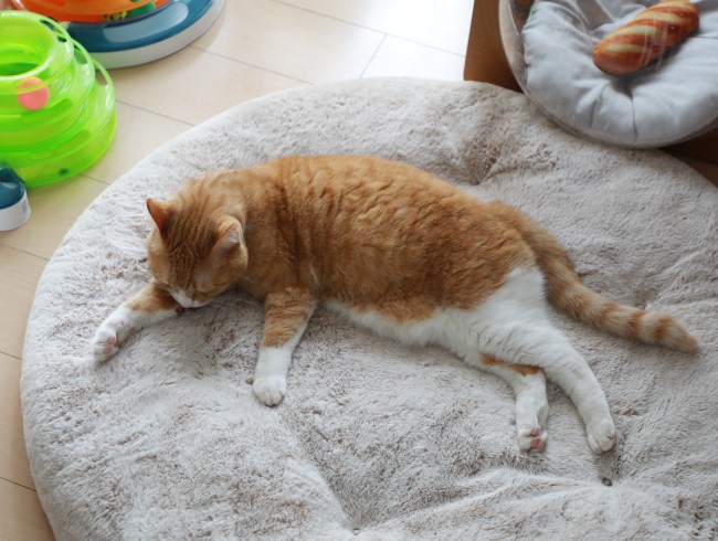 �Ҥ���դ��դ���