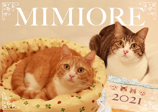 �ߥߥ��졣�����ƥ�����������2021