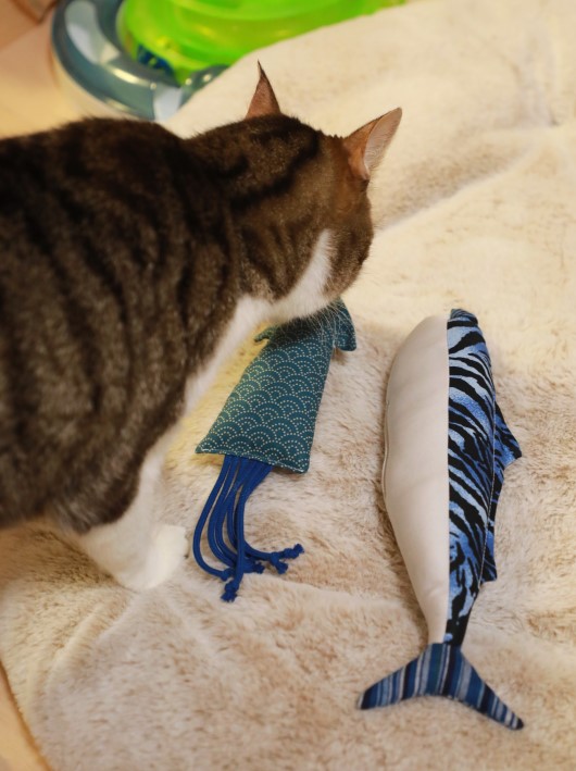 ¤³¤Ã¤Á¢ö ¤³¤Ã¤Á¢ö