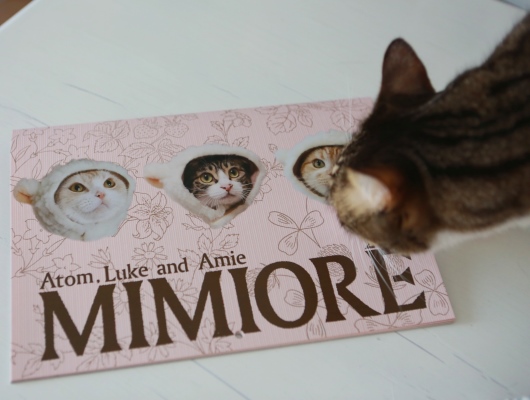 ��෻������