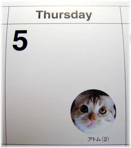 ���쥢����������