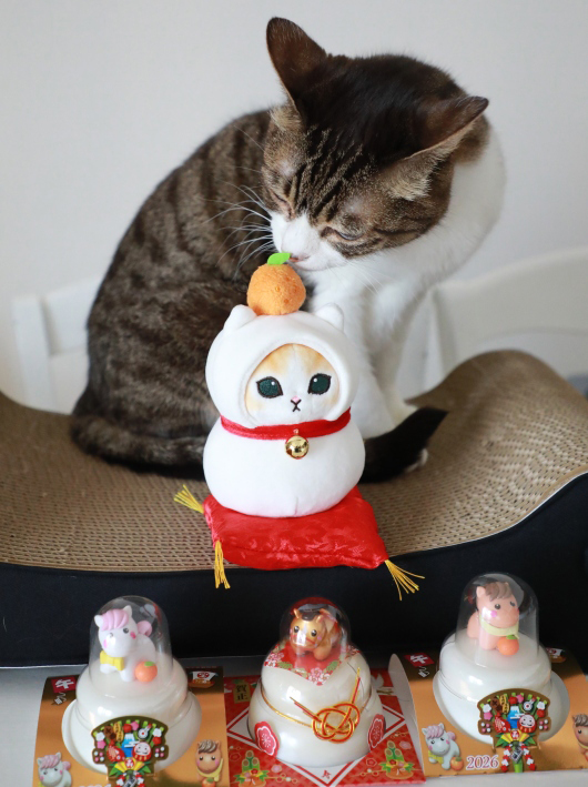 ��餤�����Τˡ���