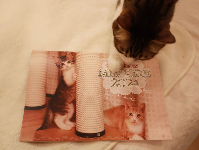 °ìÈÖ¾è¤ê¡Á¡£ °ìÈÖ¾è¤ê¡Á¡£