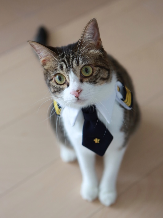 ���ҤȤĤ������Ǥ��礦��