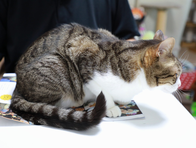 ¥¢¥ß¤Î¤â¤Î¡£ ¥¢¥ß¤Î¤â¤Î¡£