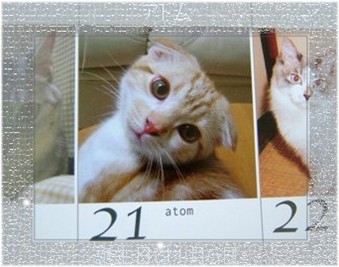 ���������ܡ�����