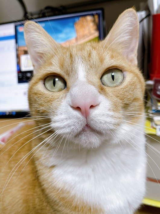 ���ä�����