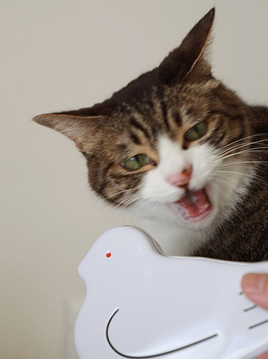 Âޤϡª¡© Âޤϡª¡©