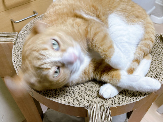 ����󤰤��