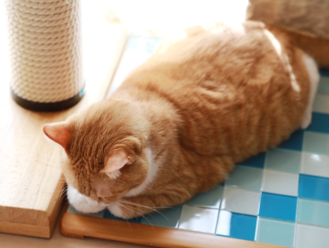 ��ä���դ��դ���