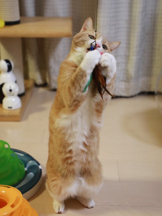 �Ĥ��ޤ�����