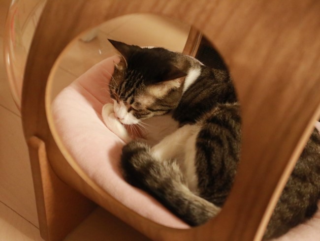 ¤Þ¤À½Ð¤Ê¤¤¤â¤ó¡£ ¤Þ¤À½Ð¤Ê¤¤¤â¤ó¡£