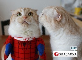 ¥¯¥ê¥Ã¥¯¤Ç¥ß¥ß¥ª¥ì¤ËÅêɼ¡£ ¥¯¥ê¥Ã¥¯¤Ç¥ß¥ß¥ª¥ì¤ËÅêɼ