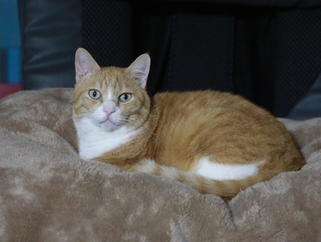 �դ��դ�������