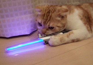 ジェダイの騎士 ミミオレ Powered By ライブドアブログ