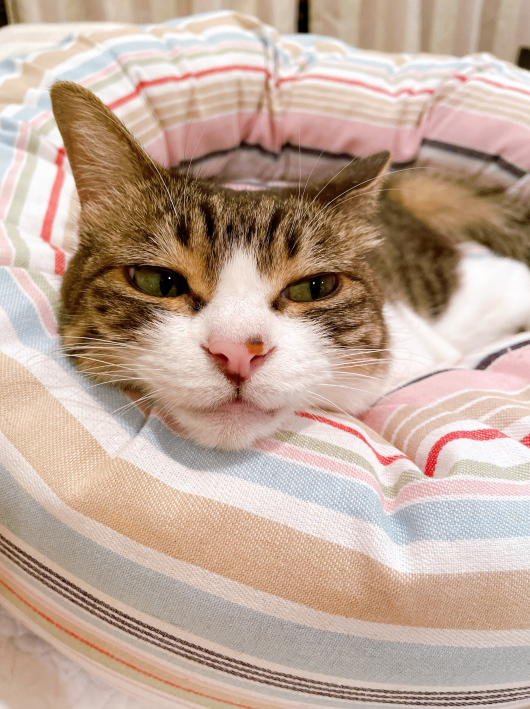 Í褿¤Í¡£ Í褿¤Í¡£