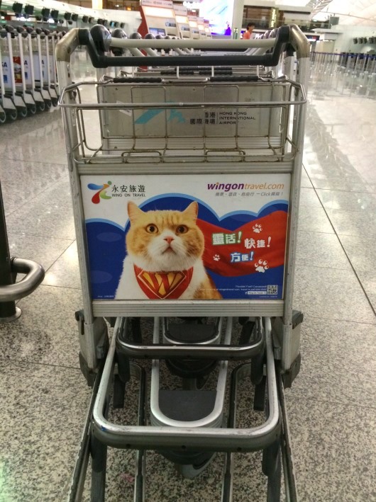 �����ݶ���