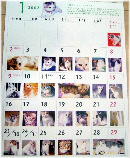 ���˥��५��������