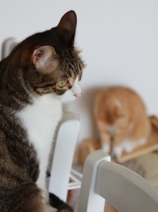 ¤Þ¤¿¤ä¤Ã¤Æ¤ë¡¦¡¦¡¦¡£ ¤Þ¤¿¤ä¤Ã¤Æ¤ë¡¦¡¦¡¦¡£