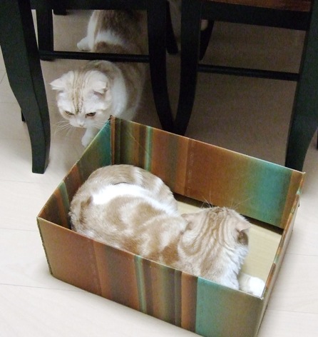 ���á��ޤ�����