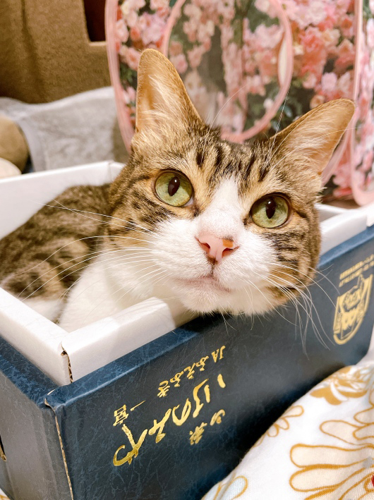 ¥¢¥ß¤Î¤â¤Î¡£ ¥¢¥ß¤Î¤â¤Î¡£