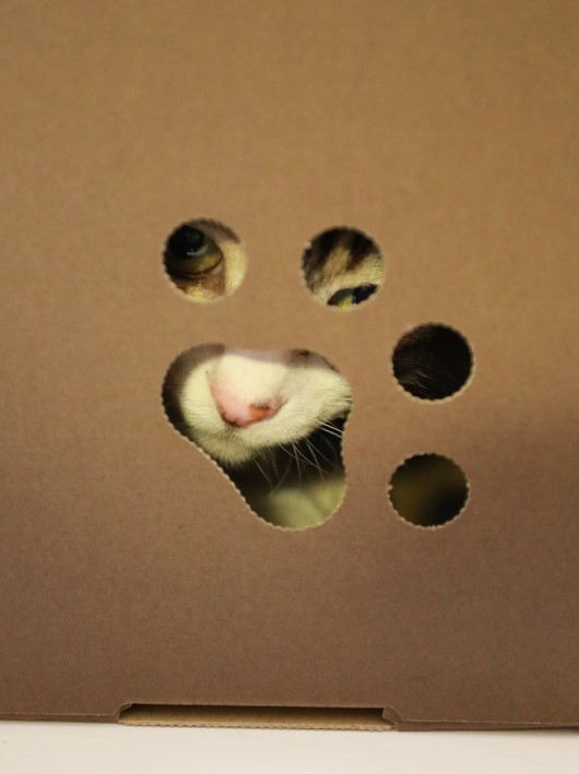 ¾®Áëͤꡣ ¾®Áëͤꡣ