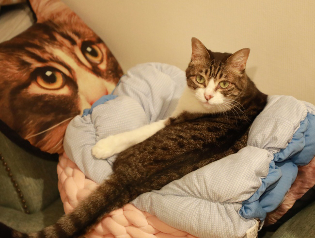 ¤Õ¤Õ¢ö ¤Õ¤Õ¢ö