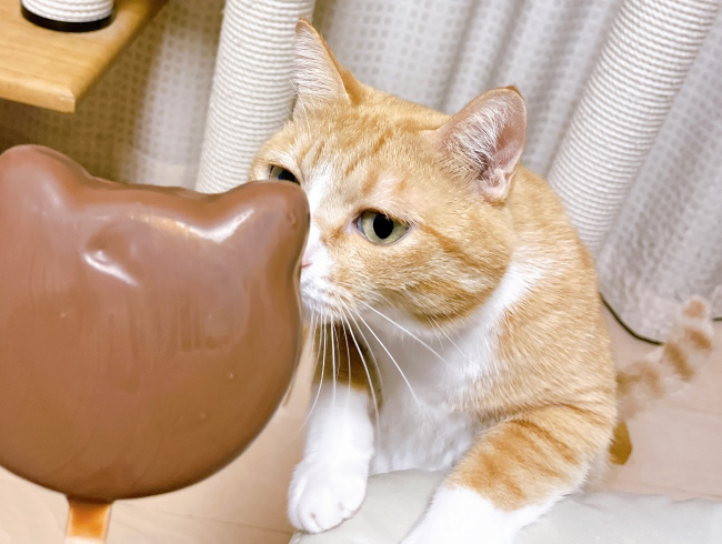 ����ä��̤����ơ�