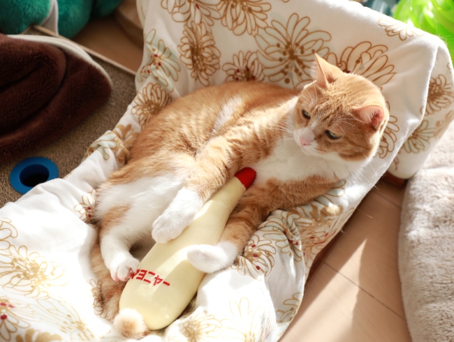 �Ȥ�����