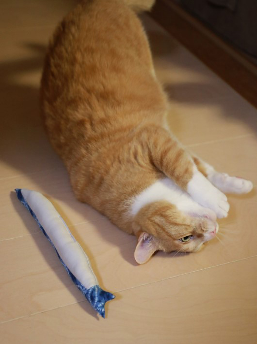 ¤´¤í¡Á¤ó¡£ ¤´¤í¡Á¤ó¡£